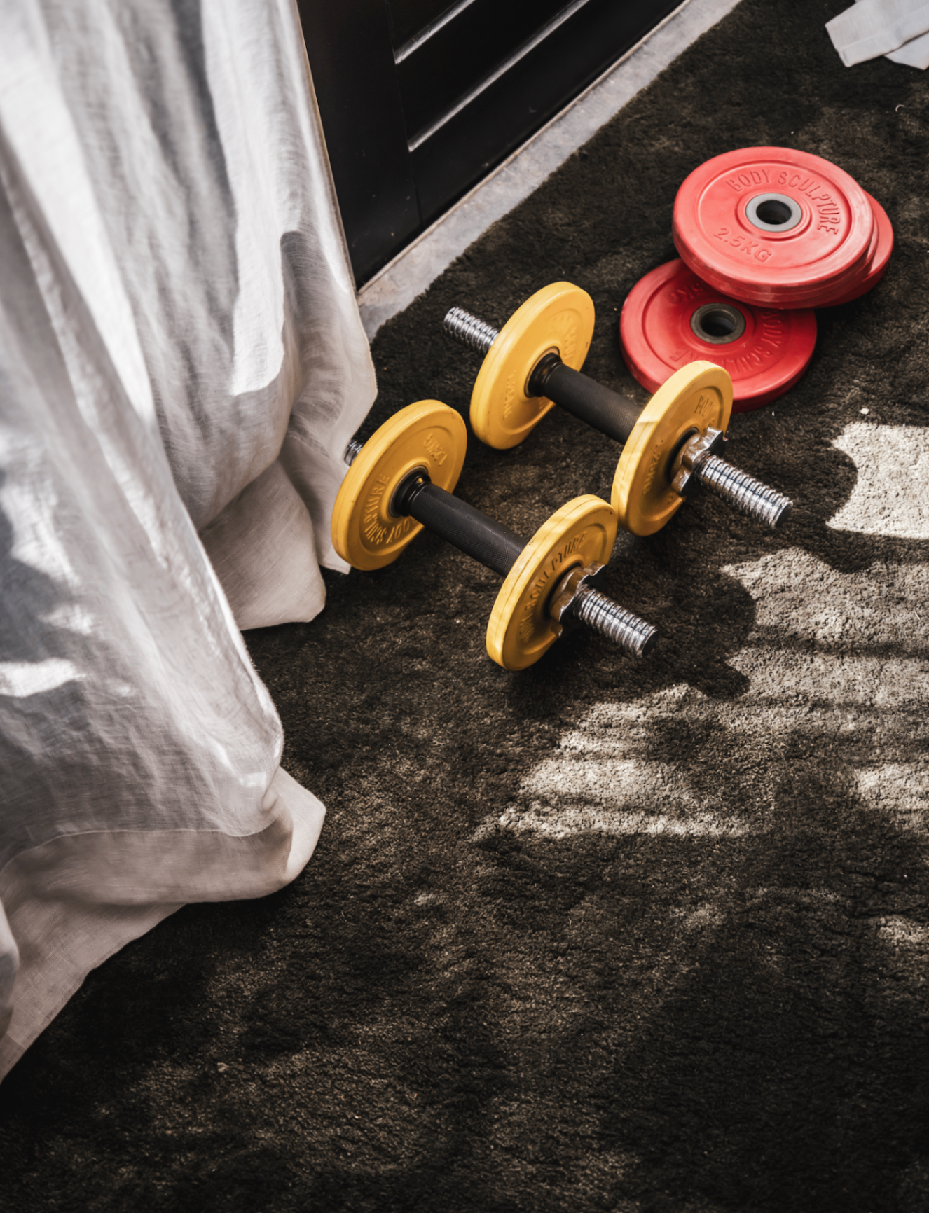 Dumbbells and weight plates